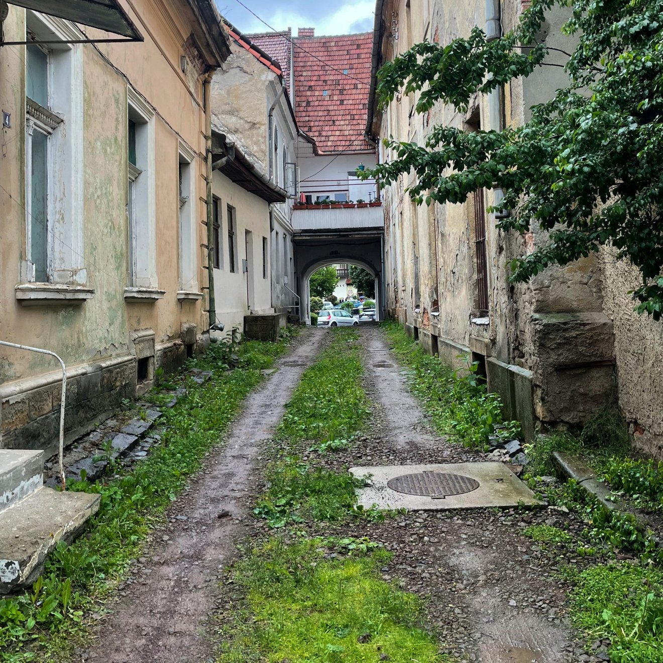 A kiállított fotók azt bizonyítják, hogy az alkotókedvnek és a tanulásnak időskorban sincsenek határai