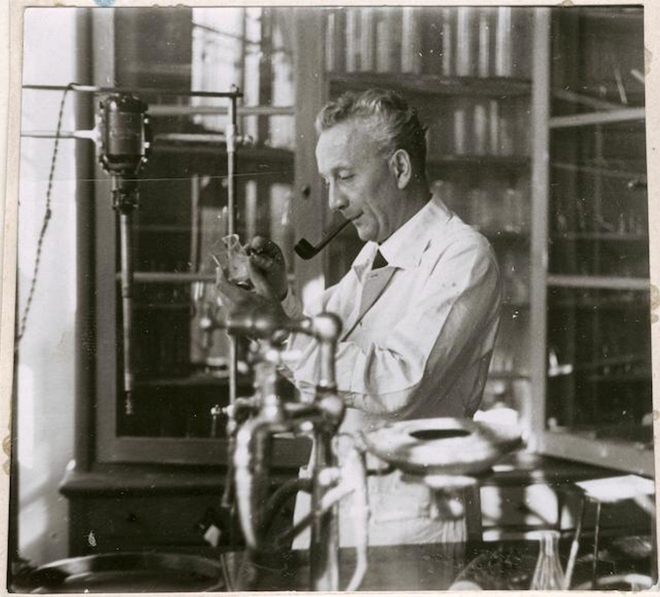 Szent-Györgyi Albert a laboratóriumban. A közhiedelemmel ellentétben a Nobel-díjat csak másodsorban kapta a C-vitaminért, hiszen az indoklásban ez állt: „a biológiai égésfolyamatok terén tett felfedezéseiért”