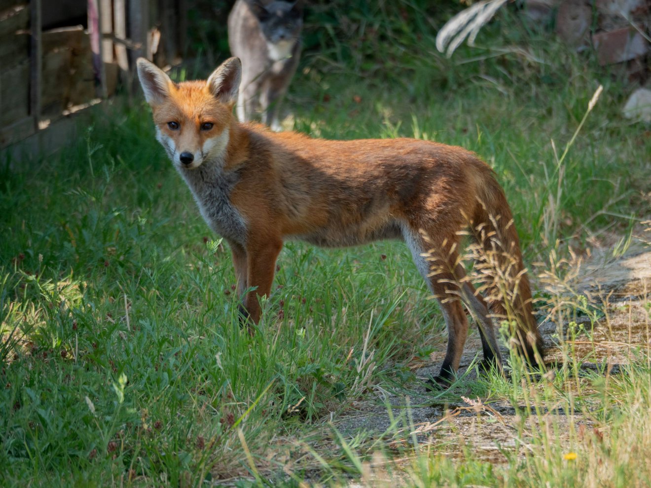 &bullet;  Fotó: Pexels