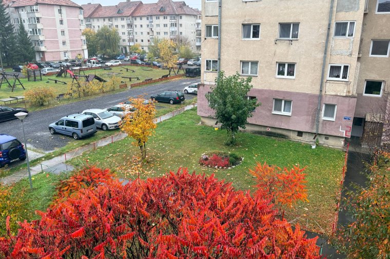 A meleg, csapadékos ősz után itt a szomorú, csapadékos ősz