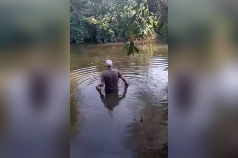 Döglött szárnyasokkal teli zsákot dobott a folyóba, de meglátta az őr – videóra vették a megoldást