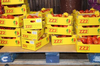 Alapvetően csak két dolog miatt büntetnek, mégis másfél millió lejre osztottak ki bírságokat