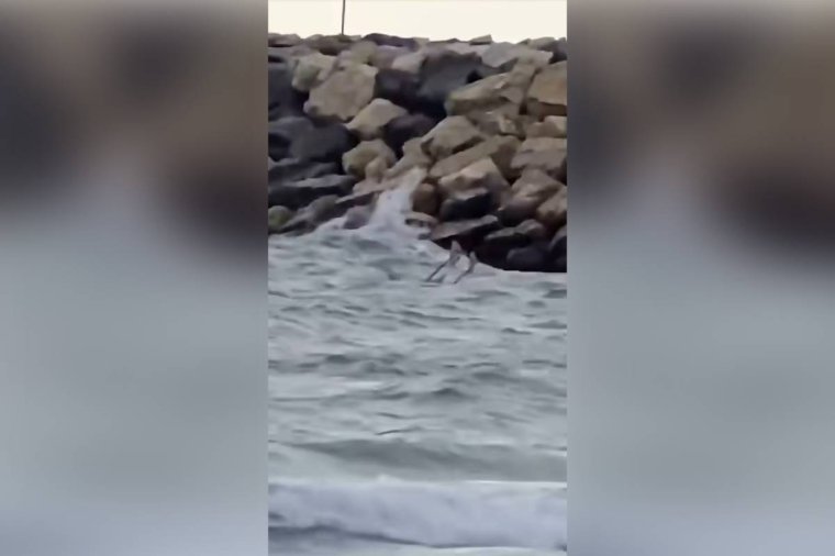 Drón maradványait filmezték le turisták egy costinești-i strandon