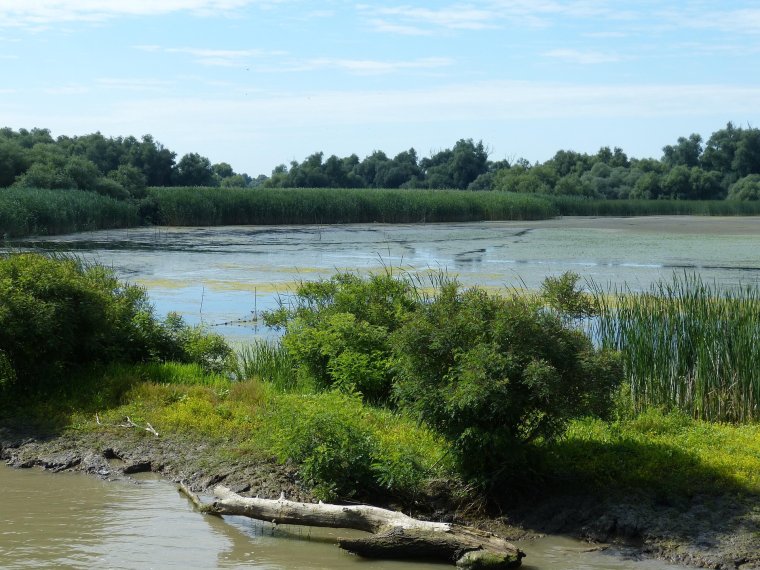 Drón zuhant le Tulcea megyében