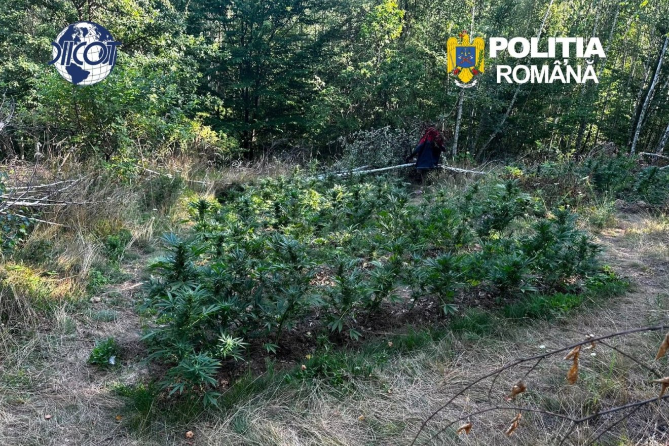 &bullet;  Fotó: Kovászna Megyei Rendőr-főkapitányság