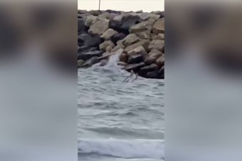 Drón maradványait filmezték le turisták egy costinești-i strandon
