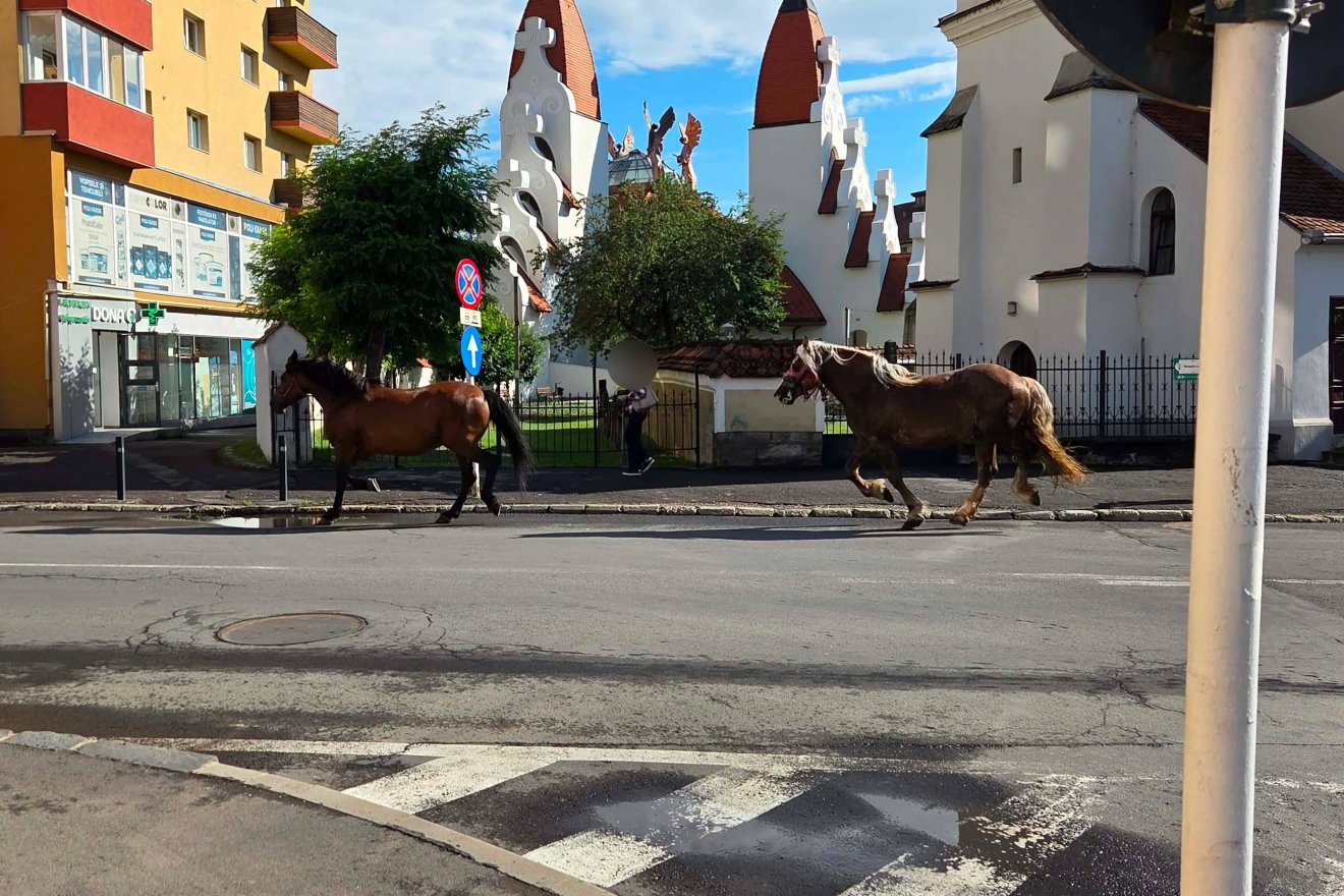 &bullet;  Fotó: Olvasónk