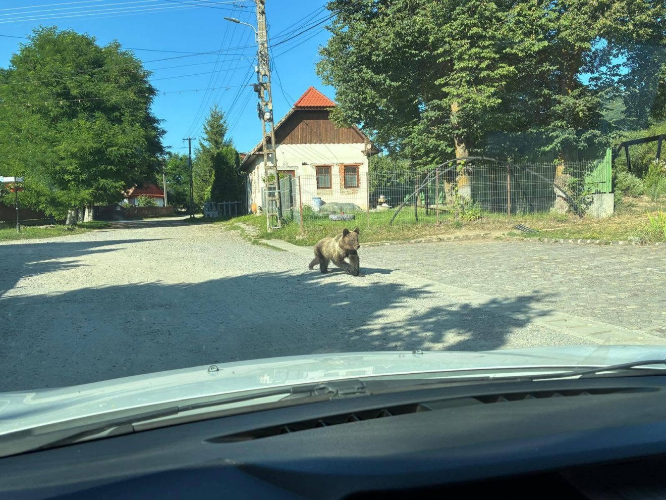 &bullet;  Fotó: Bokor Mária