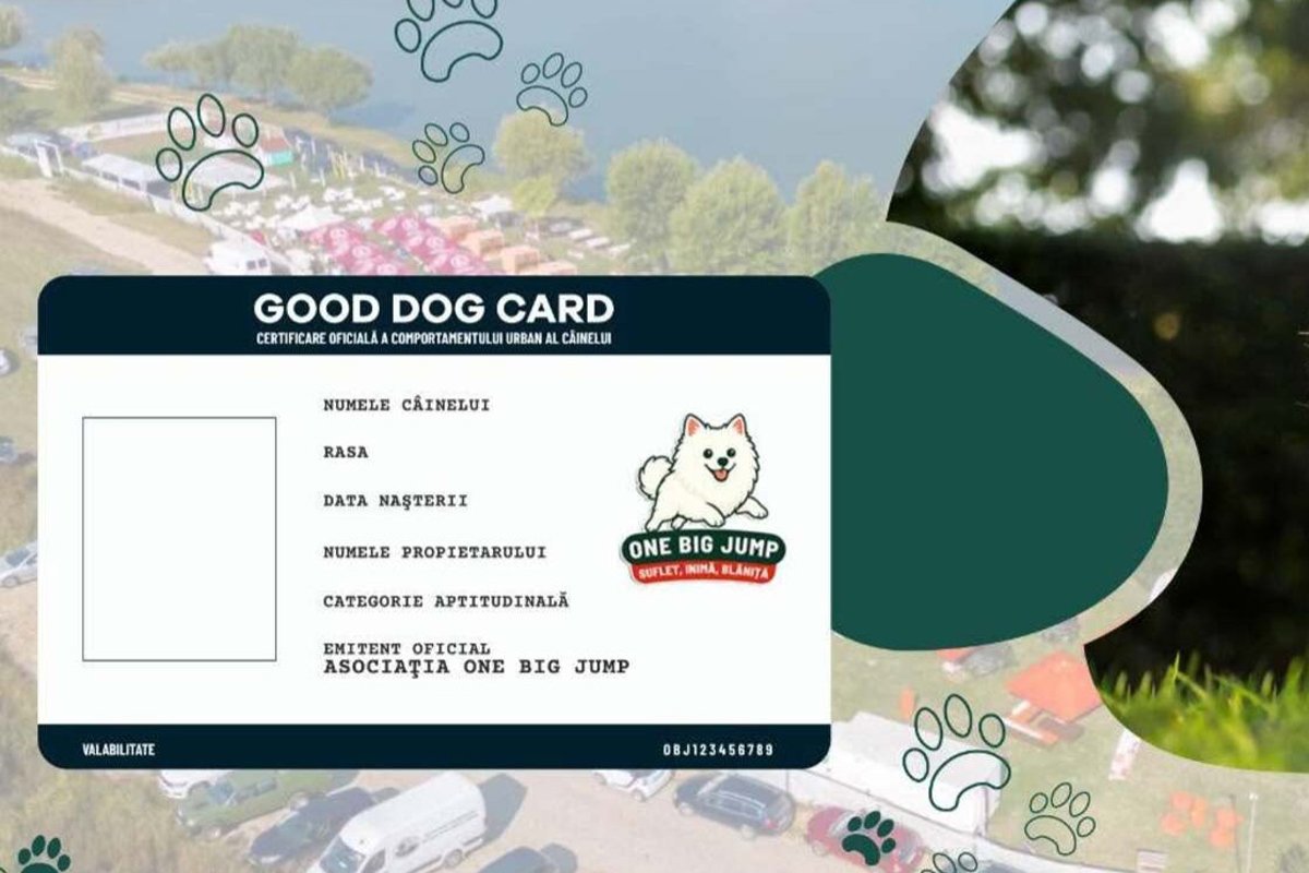 Az OLT PART Fesztiválon megszerezhető lesz a Good Dog Card, amely annak bizonyítéka, hogy egy kutya és gazdája felelősségteljes, jól felkészült párost alkotnak, készen a közösségi együttélésre &bullet;  Fotó: One Big Jump