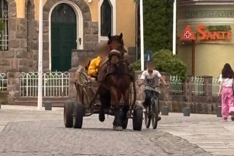 Nem tervezik a szekerek teljes kitiltását Csíkszeredából