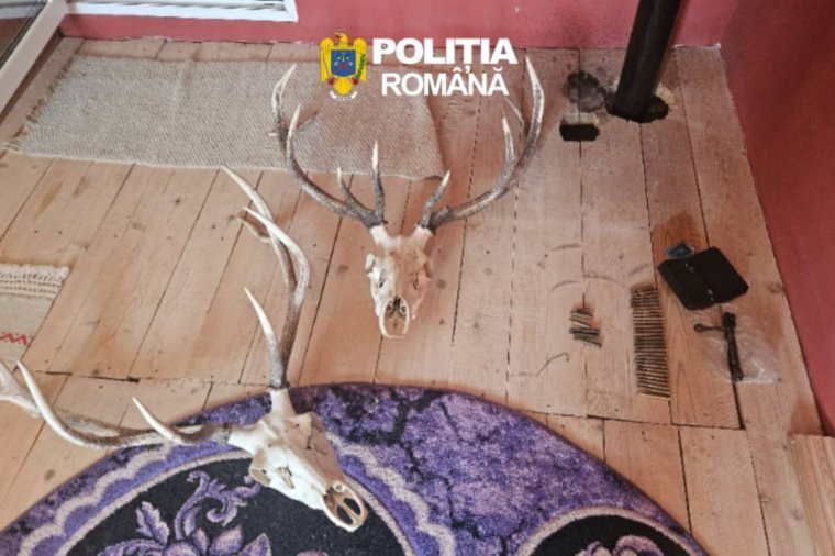 Vadorzóknál tartott házkutatásokat a rendőrség