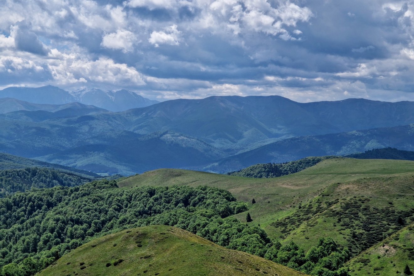 &bullet;  Fotó: Kocsis Károly
