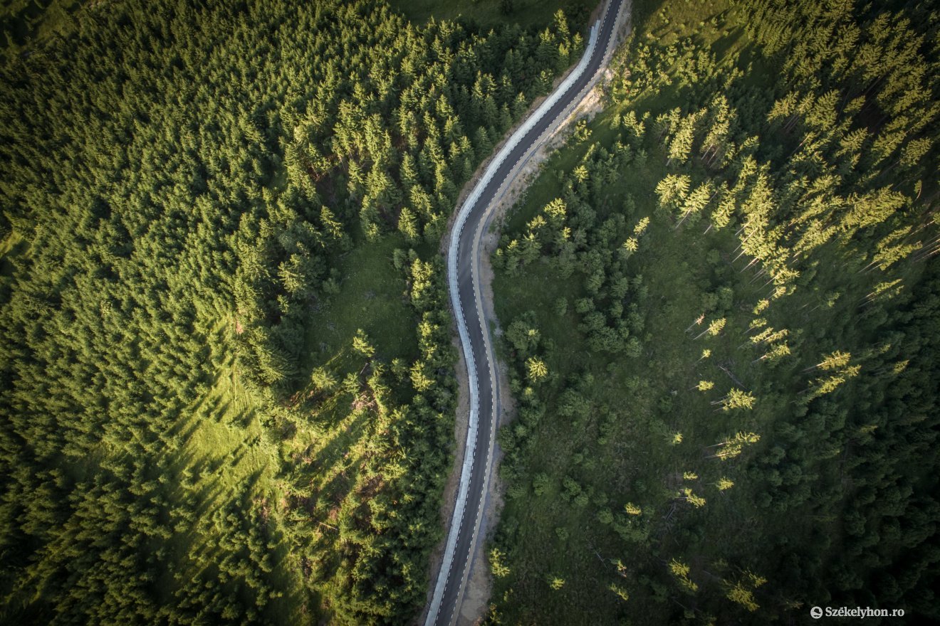 Képünk illusztráció • Fotó: Pinti Attila