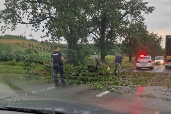 Kidőlt fák és villámáradások – lecsapott a vihar Maros és Hargita megyére