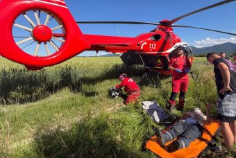 Medve támadt egy férfira Brassó megyében, helikopterrel vitték kórházba