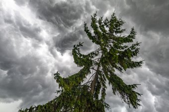 Egy fokkal erősebb: súlyosbítottak a Székelyföldön is várható vihar előrejelzésén