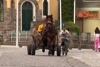 Nem tervezik a szekerek teljes kitiltását Csíkszeredából