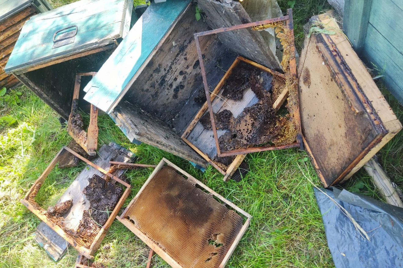 &bullet;  Fotó: Felsőboldogfalva Polgármesteri Hivatala
