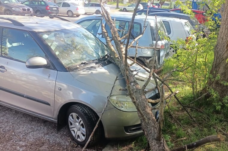 Kiszáradt fa dőlt egy autóra Székelyudvarhelyen