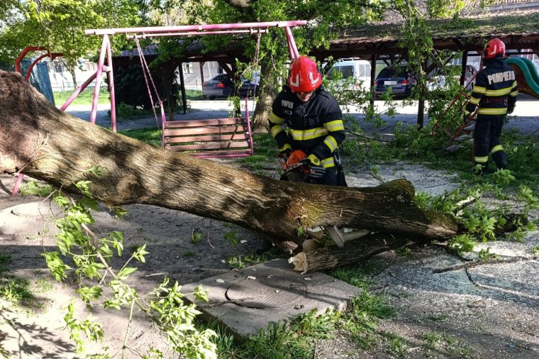 A fákat sem kímélte az erős szél