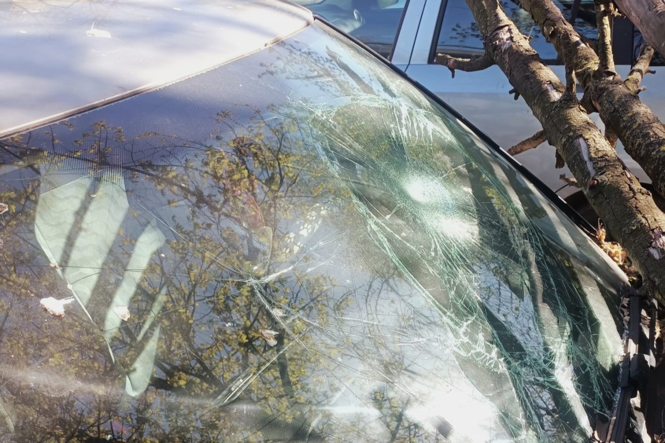 &bullet;  Fotó: Székelyudvarhelyi Helyi Rendőrség