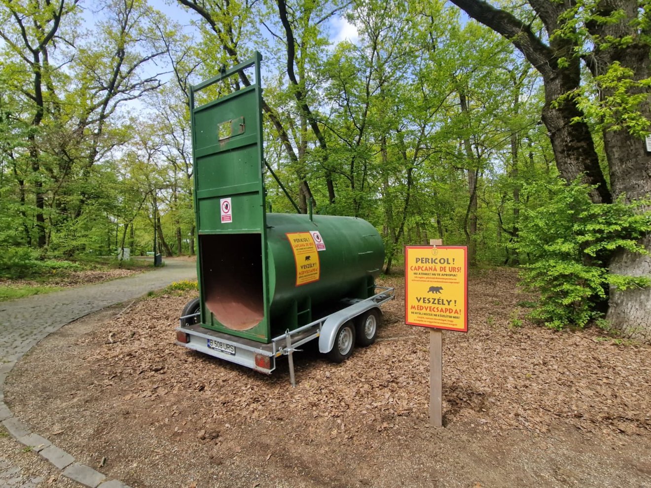 Csapdába csalnák a somostetői medvét &bullet;  Fotó: Marosvásárhely Polgármesteri Hivatala/Facebook