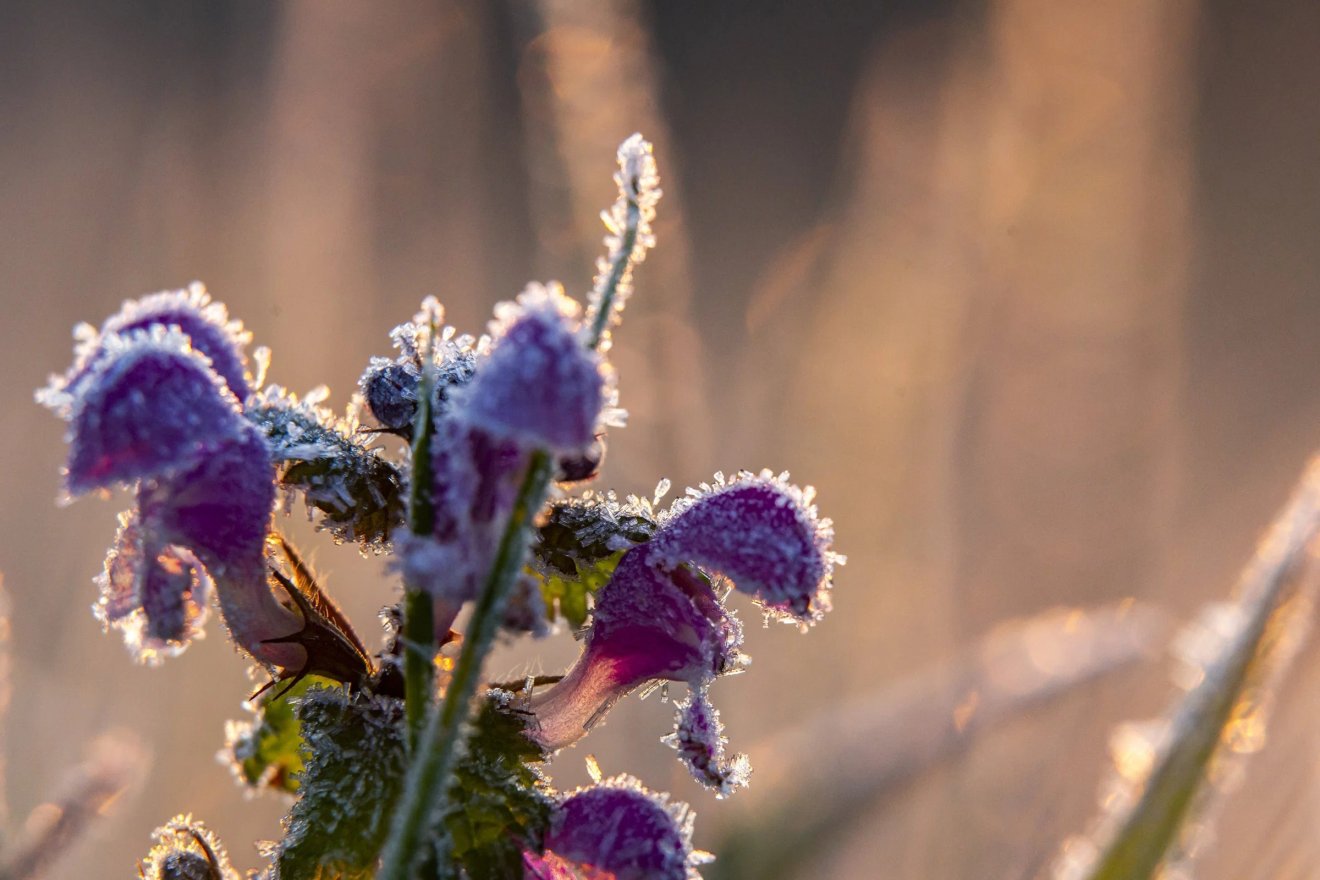 &bullet;  Fotó: Varga György/MTI