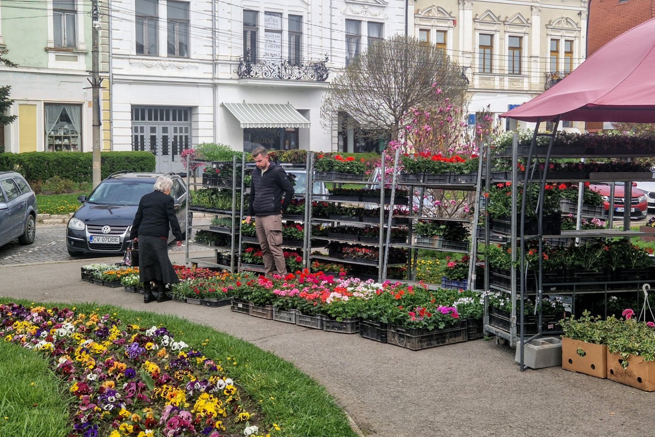 Délelőtt még nem volt nagy mozgás a Virágvarázson