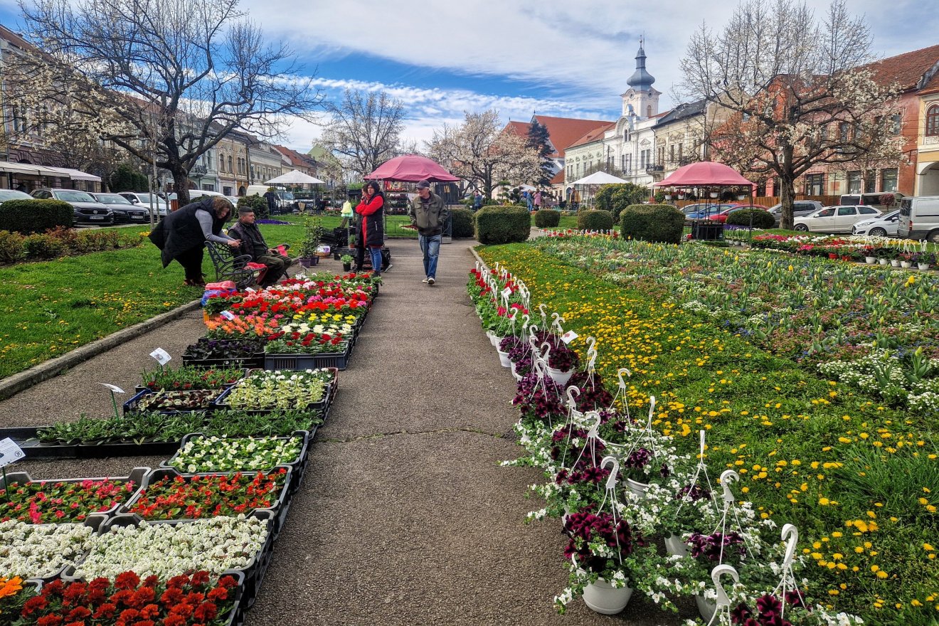&bullet;  Fotó: Kocsis Károly