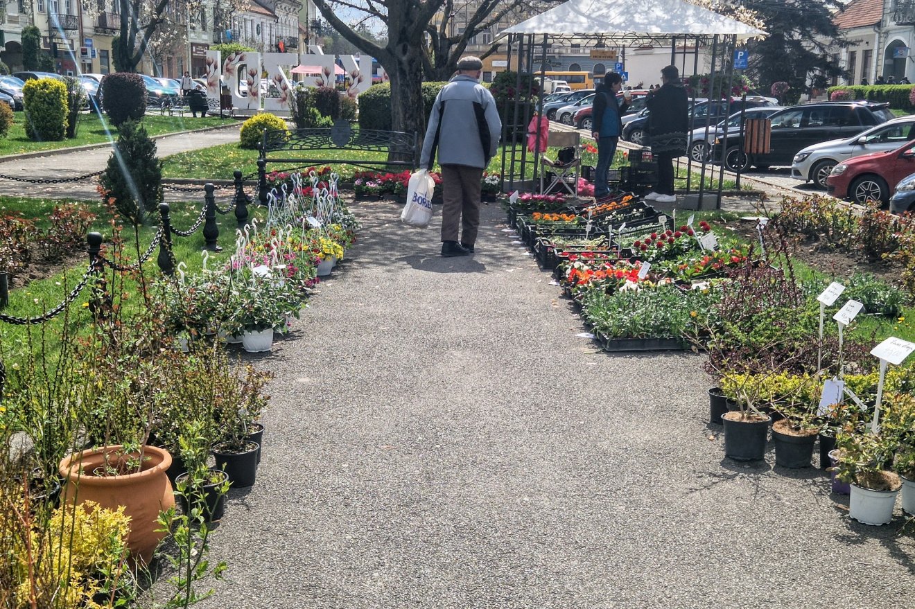 &bullet;  Fotó: Kocsis Károly