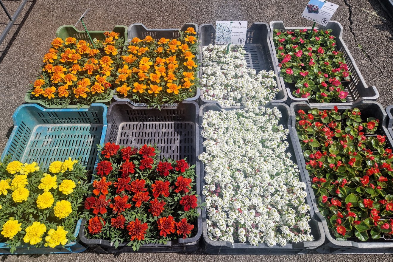 &bullet;  Fotó: Kocsis Károly