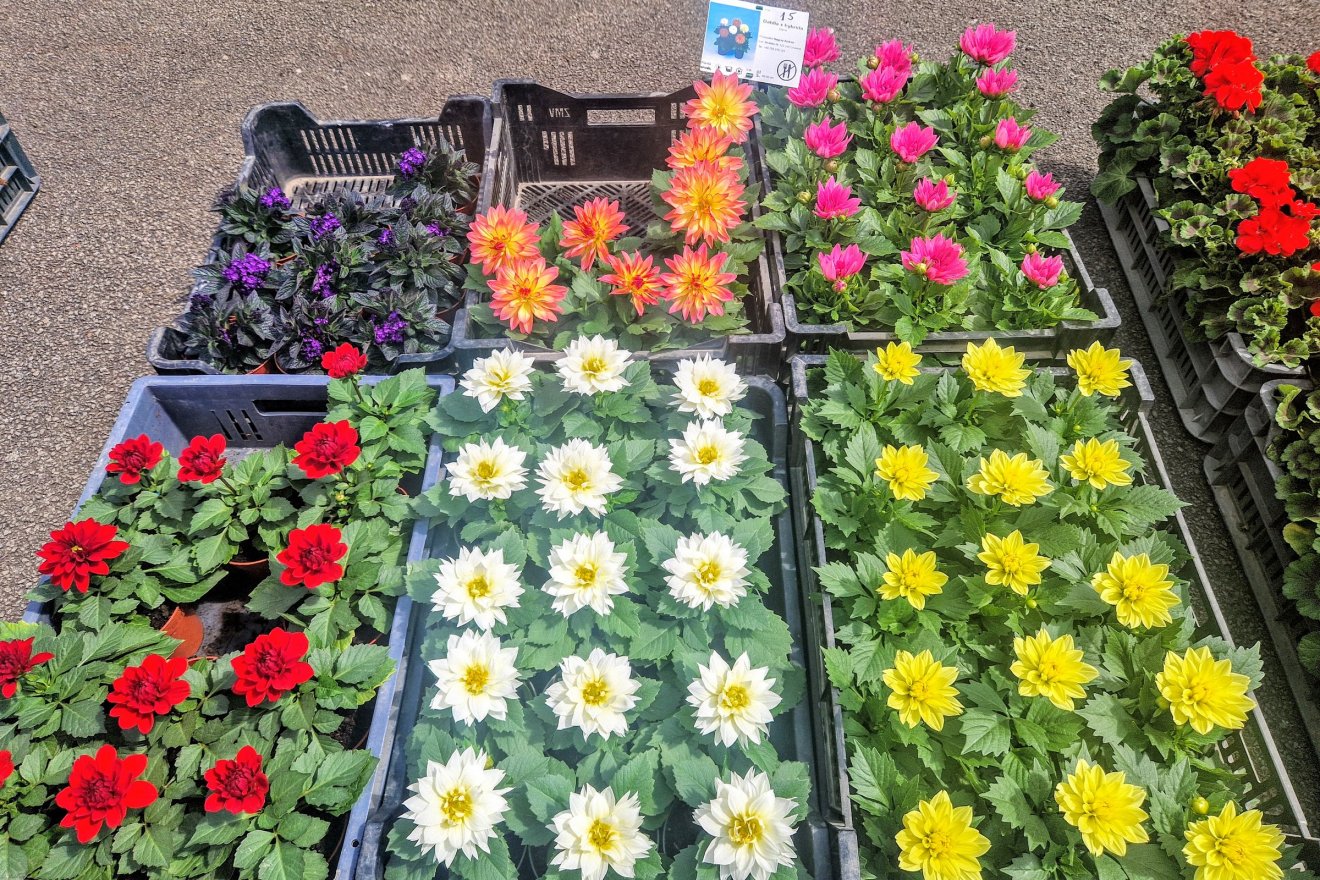 &bullet;  Fotó: Kocsis Károly