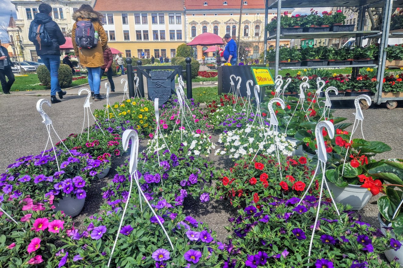 Szombat délutánig lehet válogatni