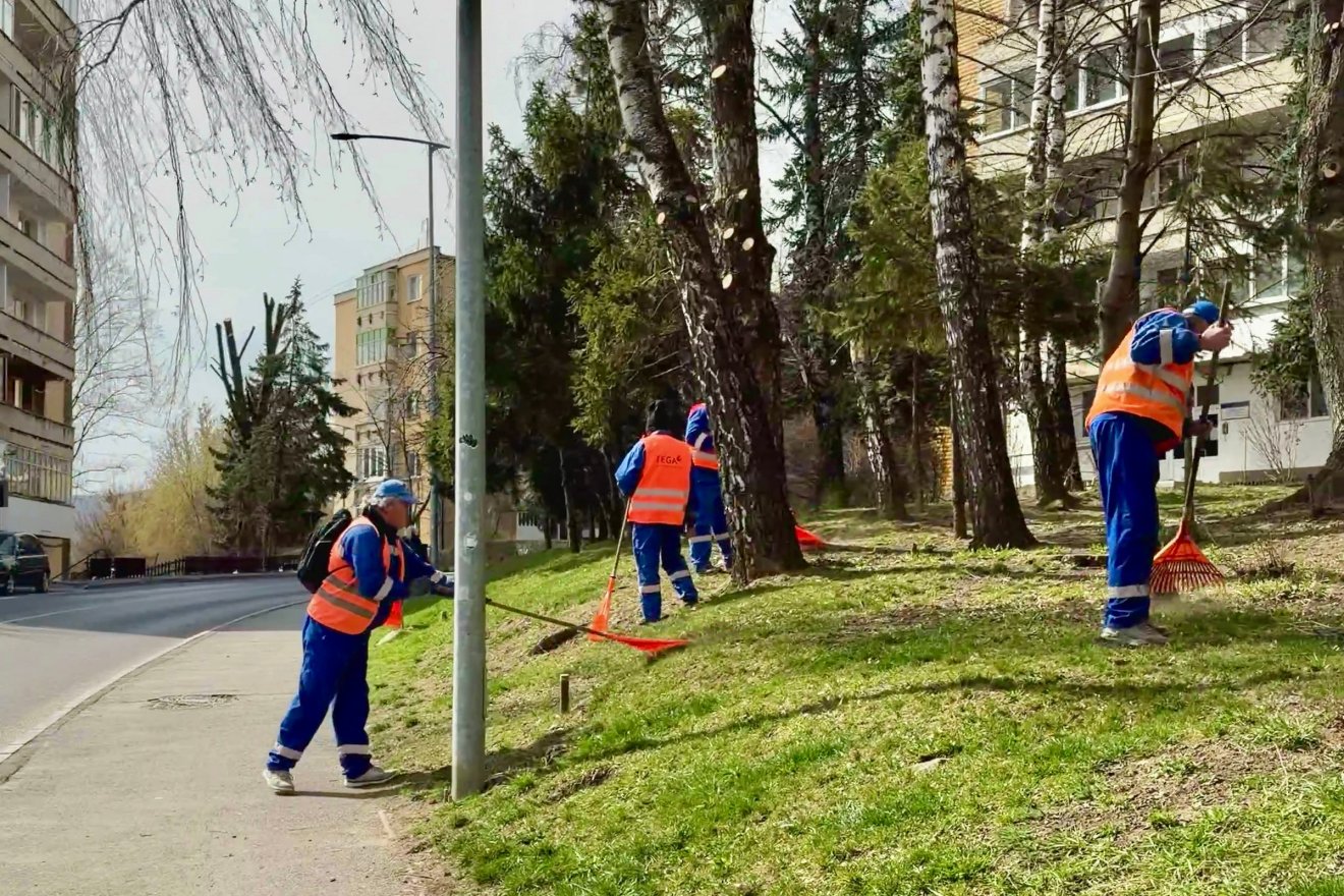 A TEGA emberei csak ott kaszálnak, ahol a lakótársulás szerződést köt velük