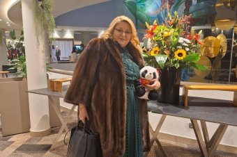 Leváltaná Nicuşor Dan-t a szélsőséges Diana Şoşoacă, aláírásgyűjtésbe kezdett ennek érdekében