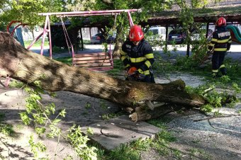 A fákat sem kímélte az erős szél