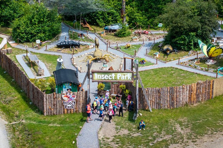 Döntőben a szejkefürdői Insect Park, az Ön szavazata is számít!