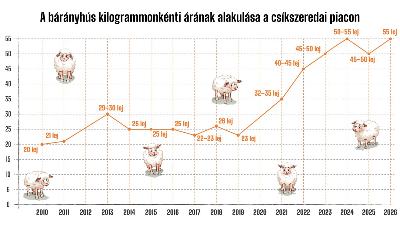 Infografika: Csáki Ferencz 