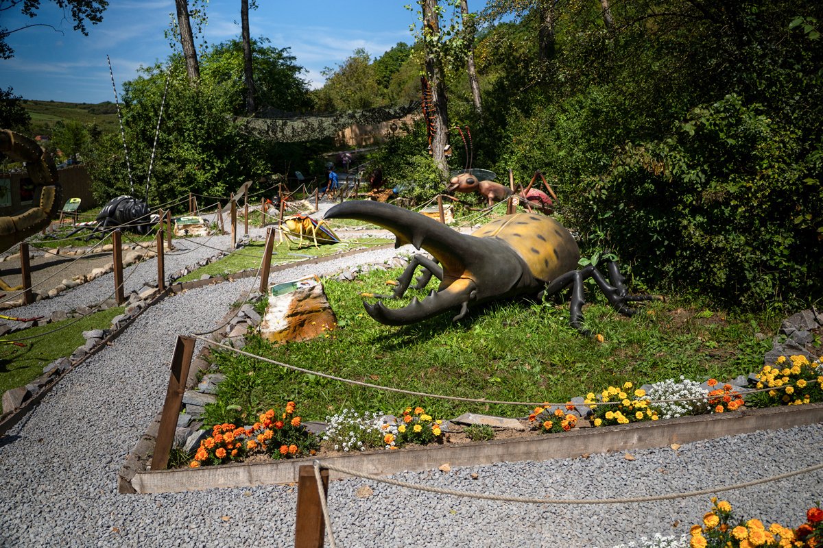 &bullet;  Fotó: Székelyföldi Legendárium