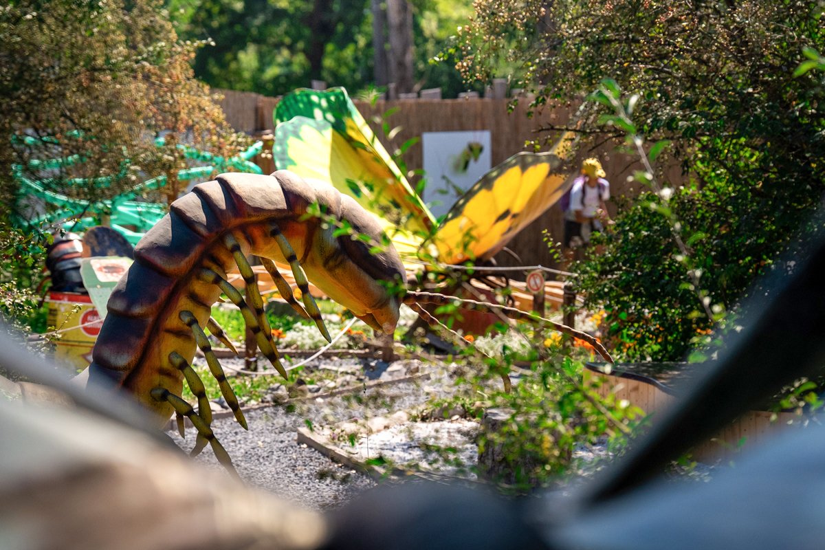 &bullet;  Fotó: Székelyföldi Legendárium