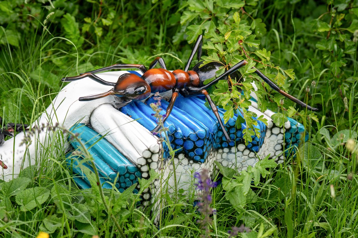 &bullet;  Fotó: Székelyföldi Legendárium