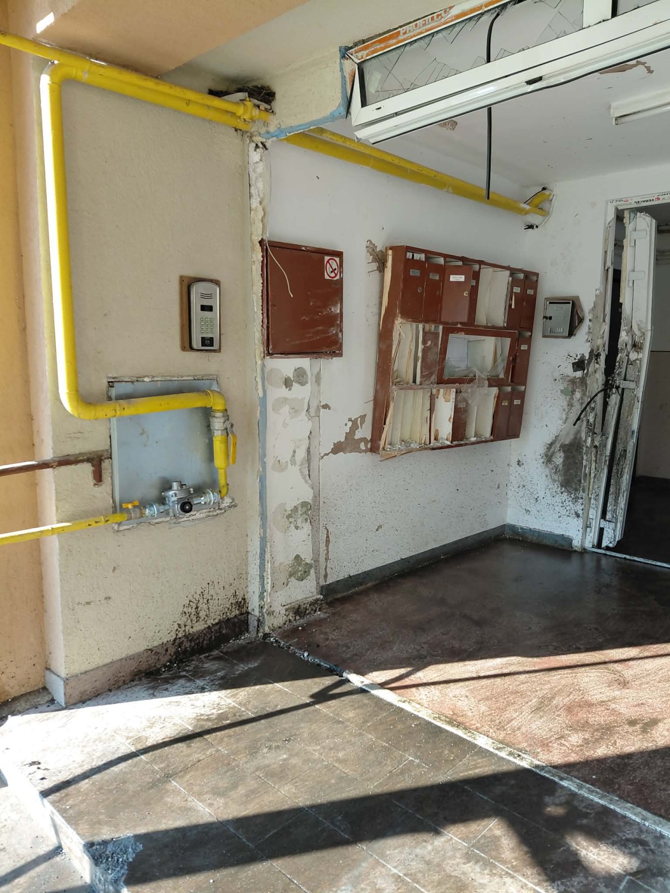 • Fotó: Olvasói felvétel