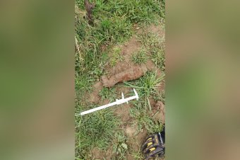 Egy aknagránát miatt riasztották a tűzoltókat, végül hármat találtak a földben