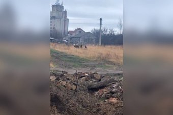 Nem nézte az akadályt a kétbocsos anyamedve, amikor elkergették Kézdivásárhelyen – videóval