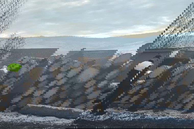 Több mint 90 bírság és közel 423 köbméter elkobzott fa – nagyszabású ellenőrzések zajlottak Hargita megyében