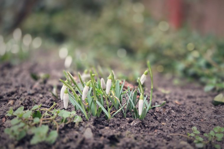 A kéthetes időjárás-előrejelzés szerint is jöhet a tavasz, ha lejár február