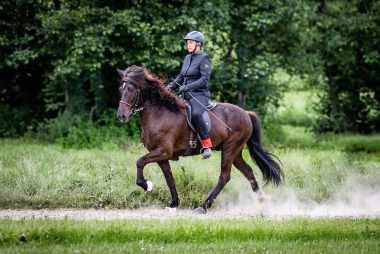 Képernyők helyett patadobogás – különleges lovas élmény Ivóban