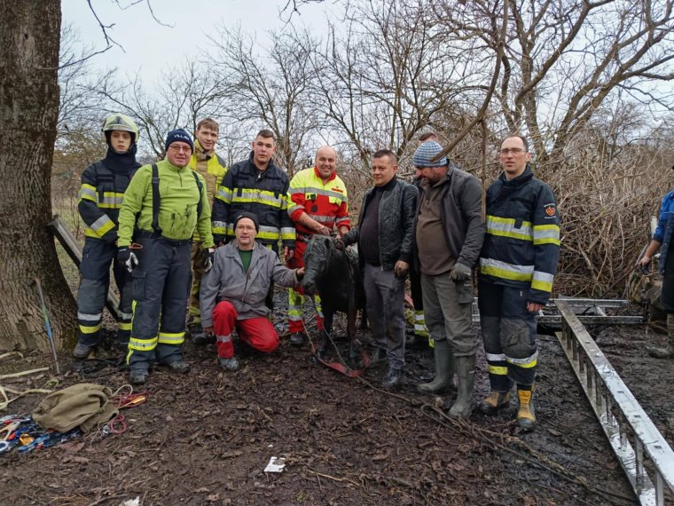 Emésztőgödörbe zuhant pónit mentettek