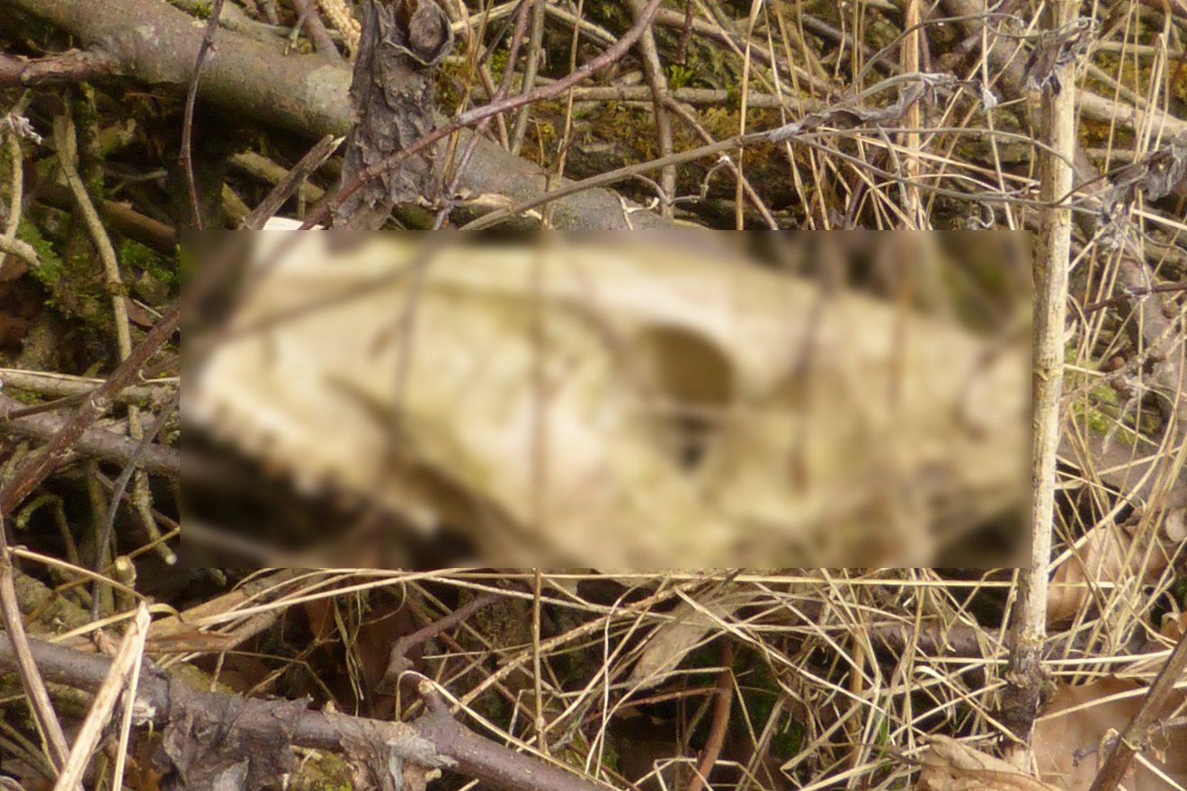 Képünk illusztráció &bullet;  Fotó: Pixabay