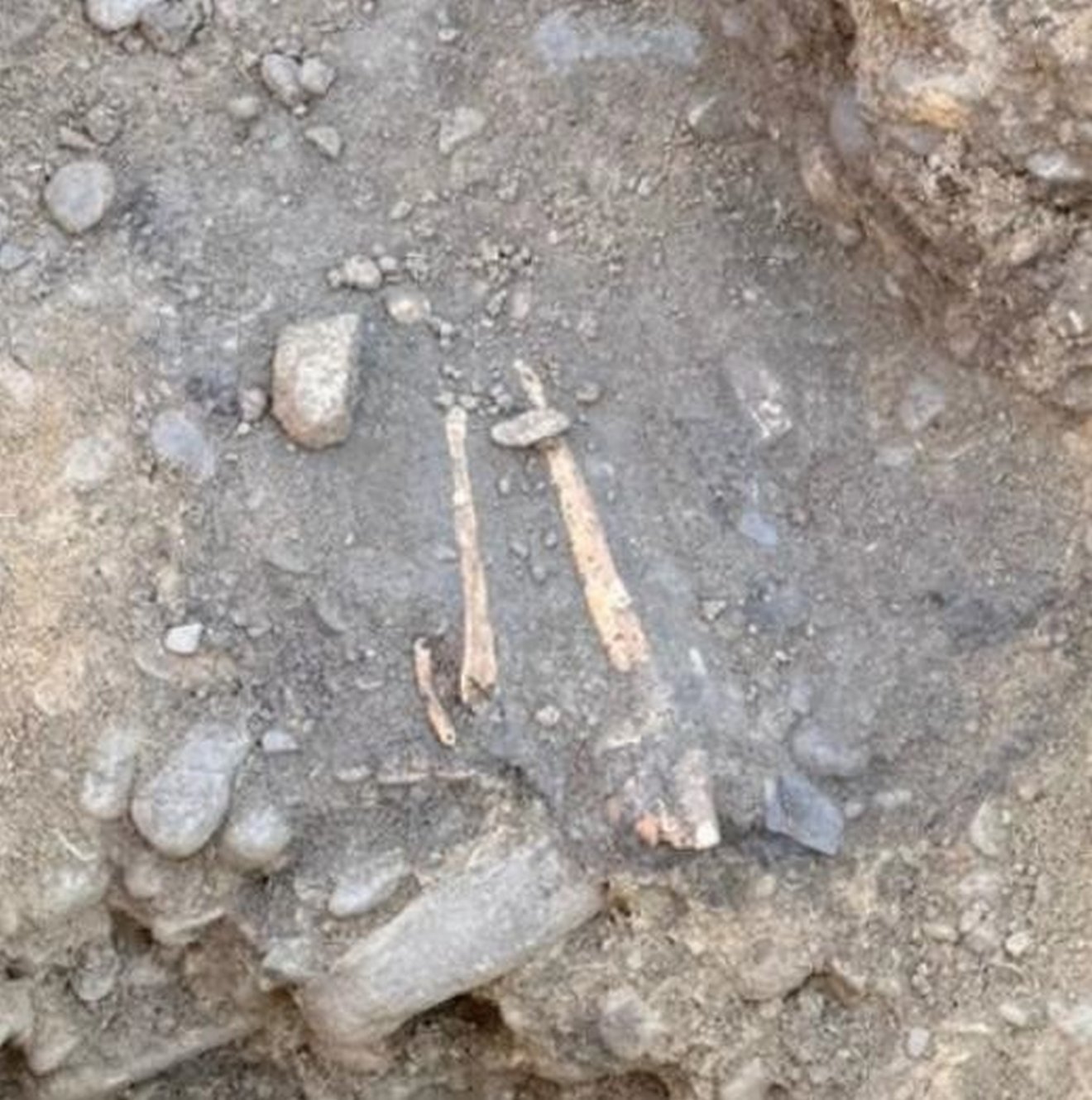 A csontmaradványok 13. századiak lehetnek